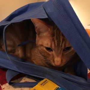 Meet your Posher, Kari